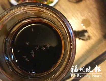 江记海鲜火锅醋罐内现活虫 食客要求免单遭拒