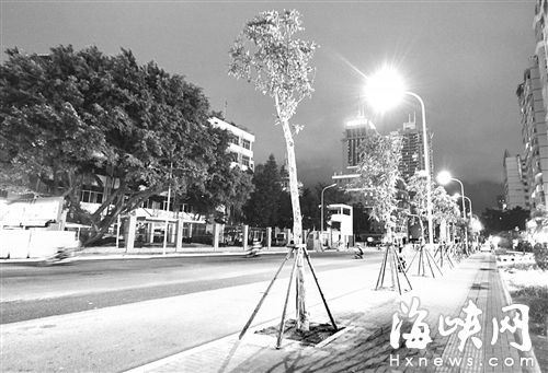 福州群众西路拓宽成双向四车道 本月底通车