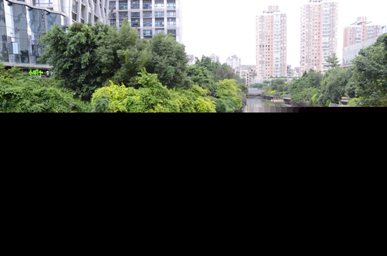 福州金港河河水黑如墨 建委：将打通未通河段