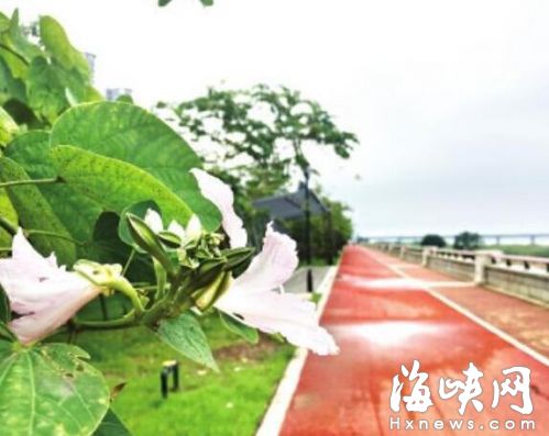 福州市乌龙江湿地公园 将扩容升级