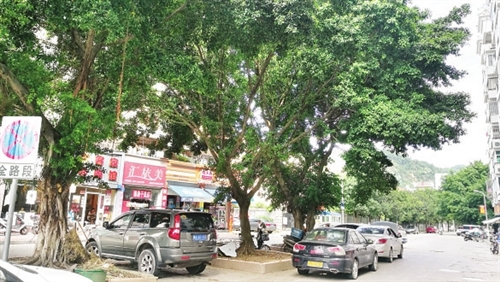 福州高安路分车带成停车场 居民堵得慌