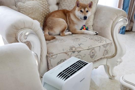 三星空气净化器 让可爱的宠物不再是生活中的烦忧