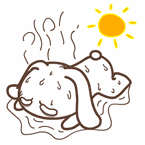 强冷空气组团杀到福州 今夜起气温骤降8~10℃