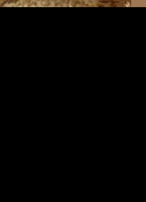 强冷空气组团杀到福州 今夜起气温骤降8~10℃