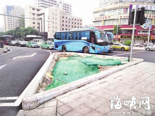 华林路绿化方案优化：加密树池 选种大冠幅树种