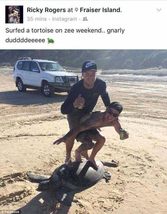 澳大利亚两男子 在海龟背上“冲浪”引网友愤怒