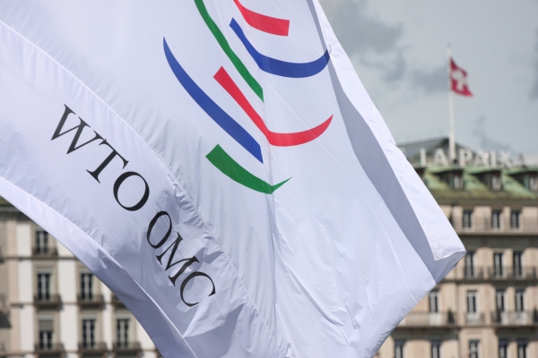 美国不服WTO裁定想上诉？专家：再无翻盘机会
