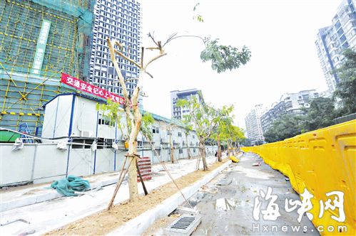 学军路平行移树 大树搬家数量变少了？