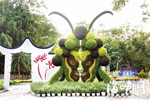 西湖菊展今日开展：大圣归来 菊王亮相