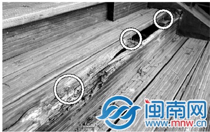 泉州桃花山公园木栈道破损严重 已申请重建翻建