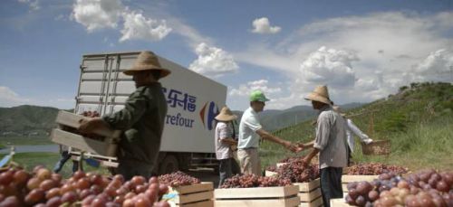 优质生鲜惠顾客，有一种信任叫家乐福
