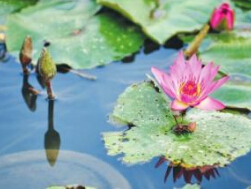 今明回暖且珍惜 福州后天再降温降雨