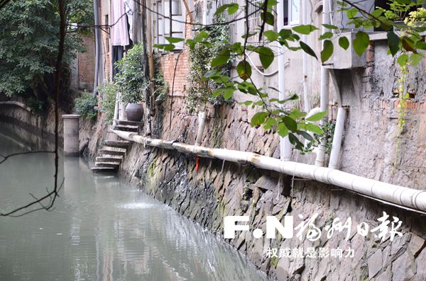 陆庄河200米河道竟有10多处排污口 肆意向内河排污