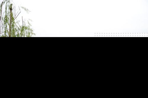 溪源江水系告别脏乱！福州大学城2个水系工程下月完工