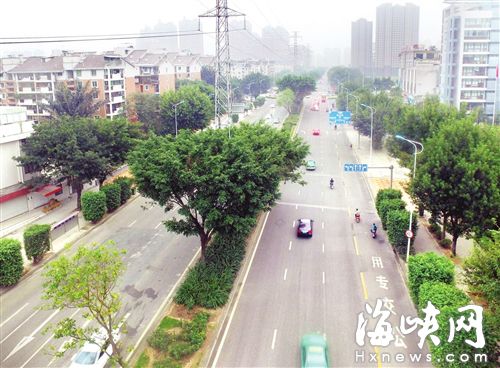 全民动员绿化福州！市民建议多建绿化分车带