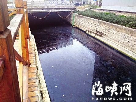长乐首占新区防洪渠水黑臭依旧 居民苦不堪言