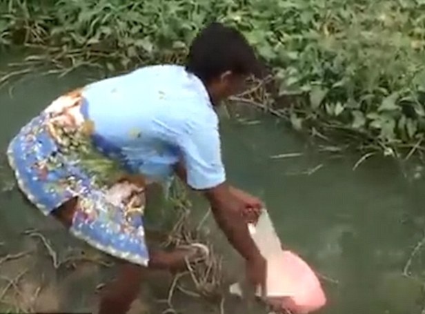 泰国农场主调制出秘制鱼饲料配方 快速催肥鲶鱼