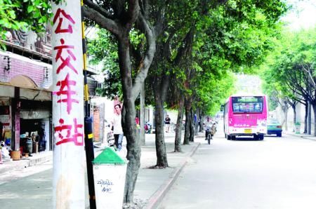 福州西洪路道路改造 18日起这5条公交线路将调整
