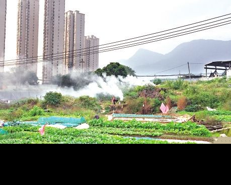 福州空气质量良 菜地烧荒烟迷秀峰路