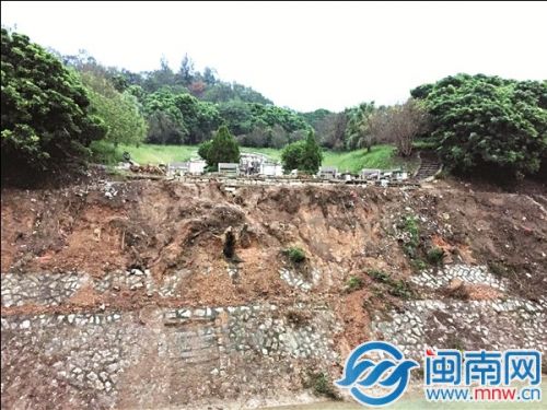 曝灵山圣墓景区树被砍 管理所：遭台风“莫兰蒂”破坏