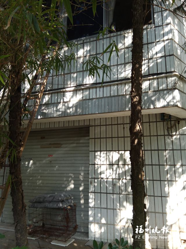 收养流浪猫狗惹邻居不满　动物救助组织帮忙安置