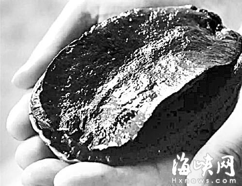 旅客纸箱藏稀有鲍鱼 闯关福州被查
