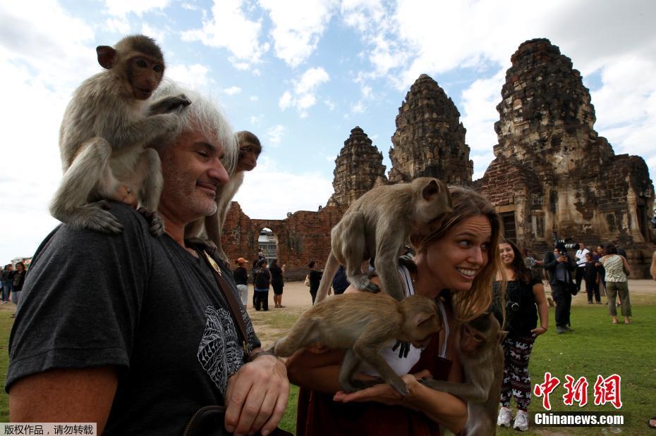 泰国猴子自助餐节 猴群乐享美食调戏游客