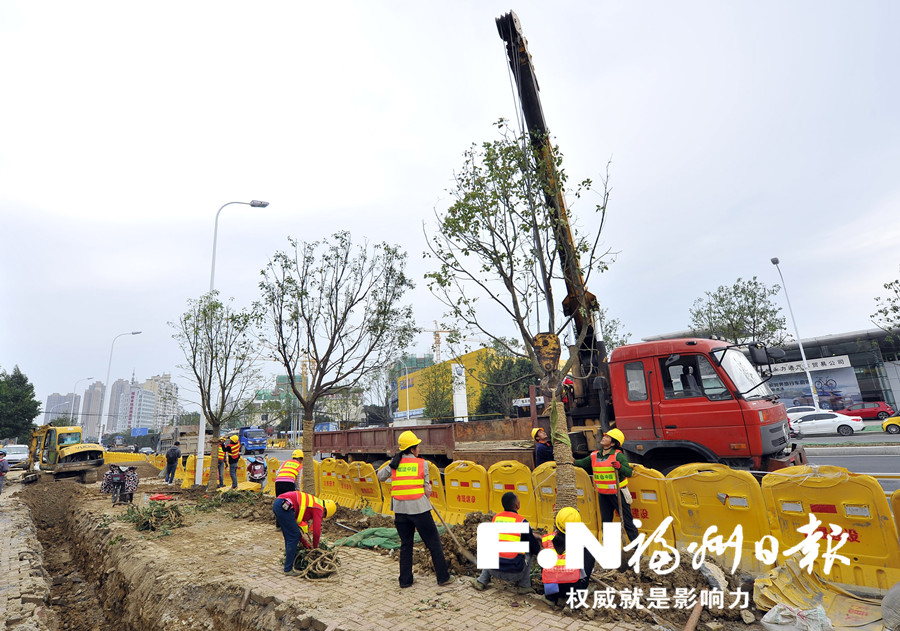 地铁1号线北段道路绿化中旬完工 广植乡土树种