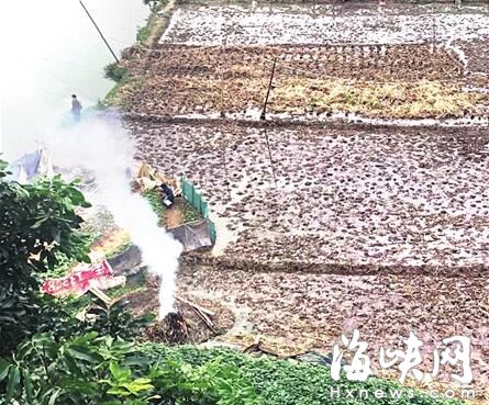 秋收后 闽侯上街又有农民田里烧秸秆