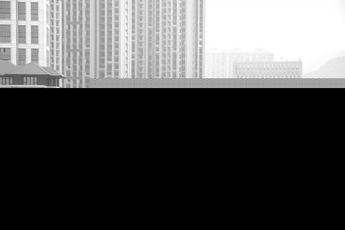 车运垃圾倒公园旁 热心市民拍照举报