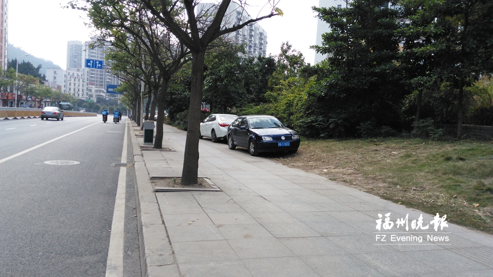 福州老旧小区业主停车破坏绿化景观