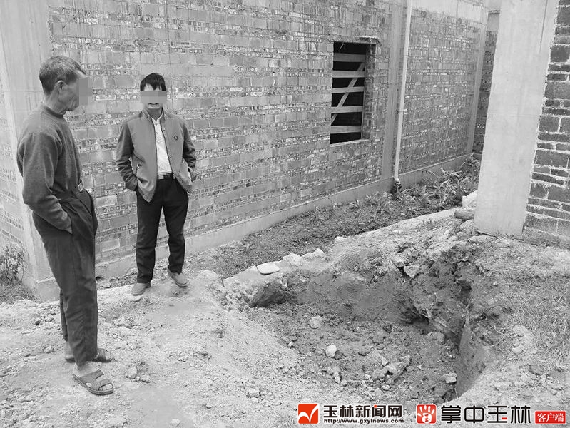 村民挖到金丝楠木价值600万？律师：归国家所有