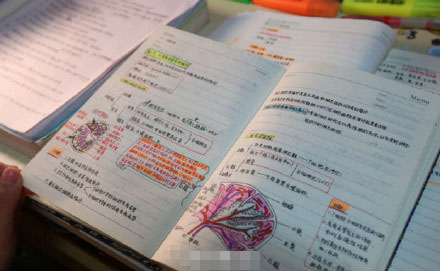 美女学霸绘本笔记走红 武汉大四学生范琴个人资料QQ号多少（2）