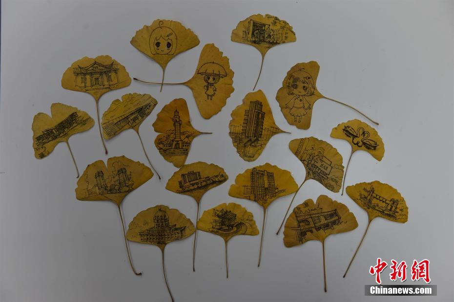 重庆大学生树叶作画 把校园画进银杏叶