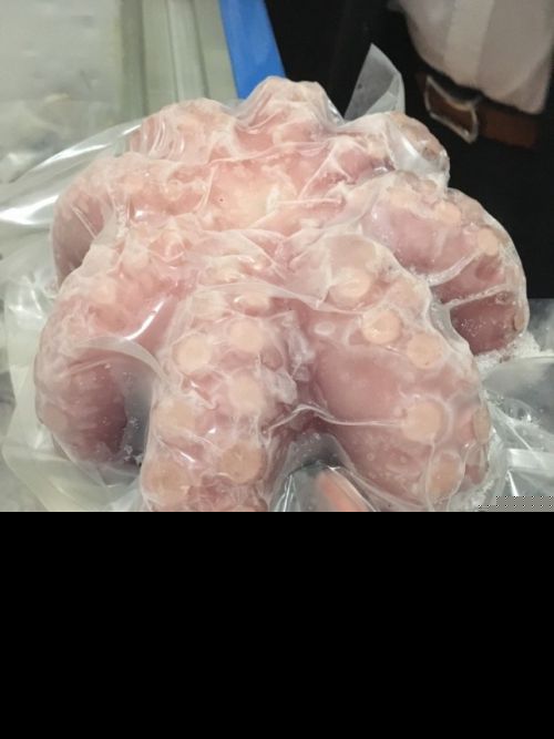 莆田汇丰食品有限公司生产的冷冻海产品