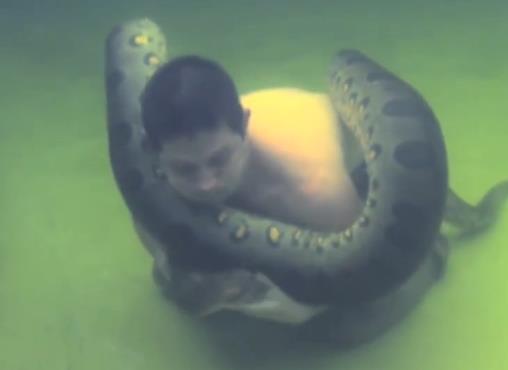 男子抱巨蟒玩水下潜泳