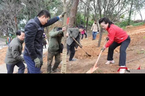 金牛山公园新种300多株山樱花 将成为福州赏樱胜地