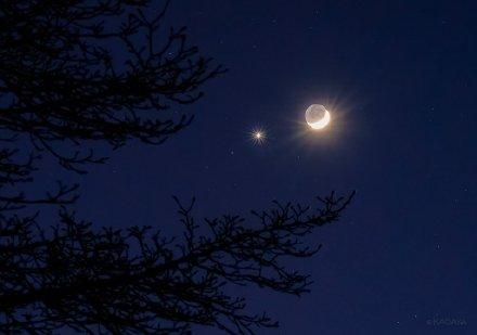 昨晚“金星伴月”今晚有流星雨 新年天空真热闹