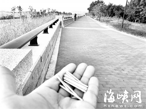 福州乌龙江湿地公园步行道现千米“钉阵”