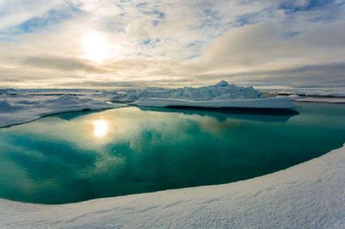 2016最古怪发现：一颗古怪的头、北极高温、深海噪音......（3）