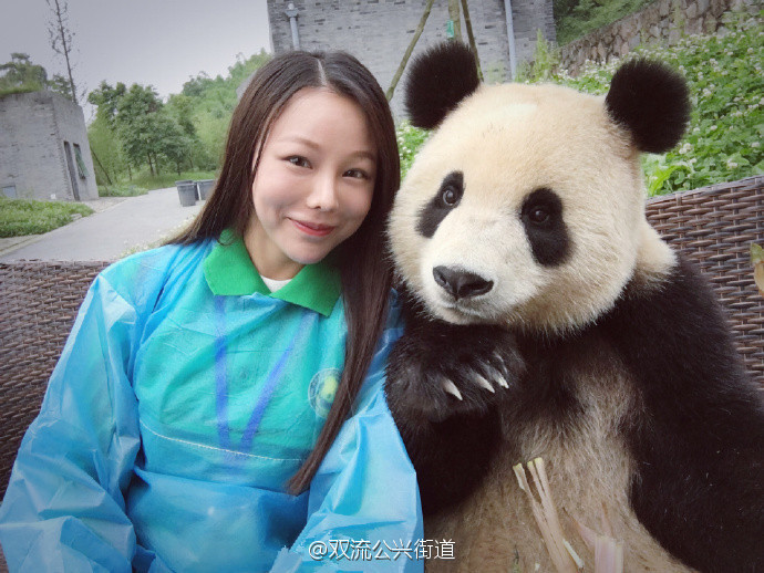 萌翻！大熊猫与妹子合影 国宝这镜头感满分