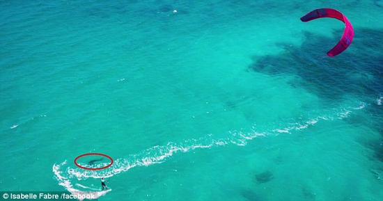 法国旅游女博主伊莎贝尔风筝冲浪时偶遇大白鲨
