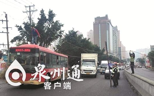 电线杆被折断 泉州交警辅警徒手托举电线2小时