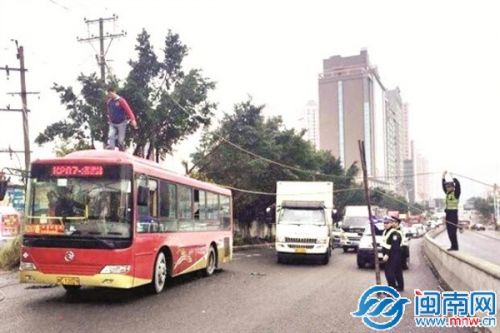 泉州交警统一行动日查违法1528起