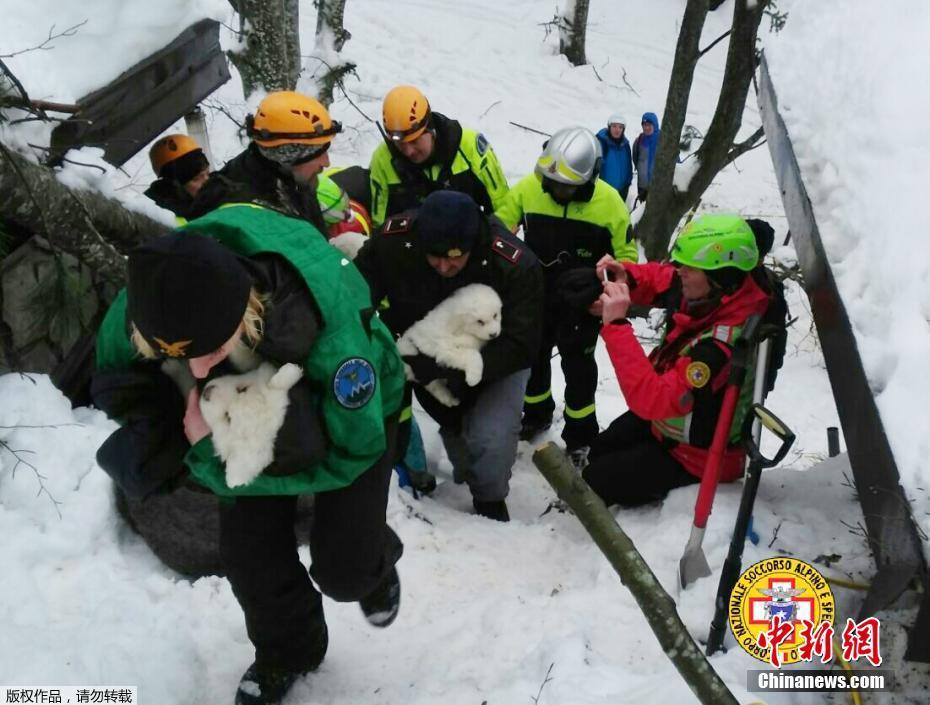 意大利遇雪崩酒店救出狗宝宝 救援人员喜出望外又抱又亲