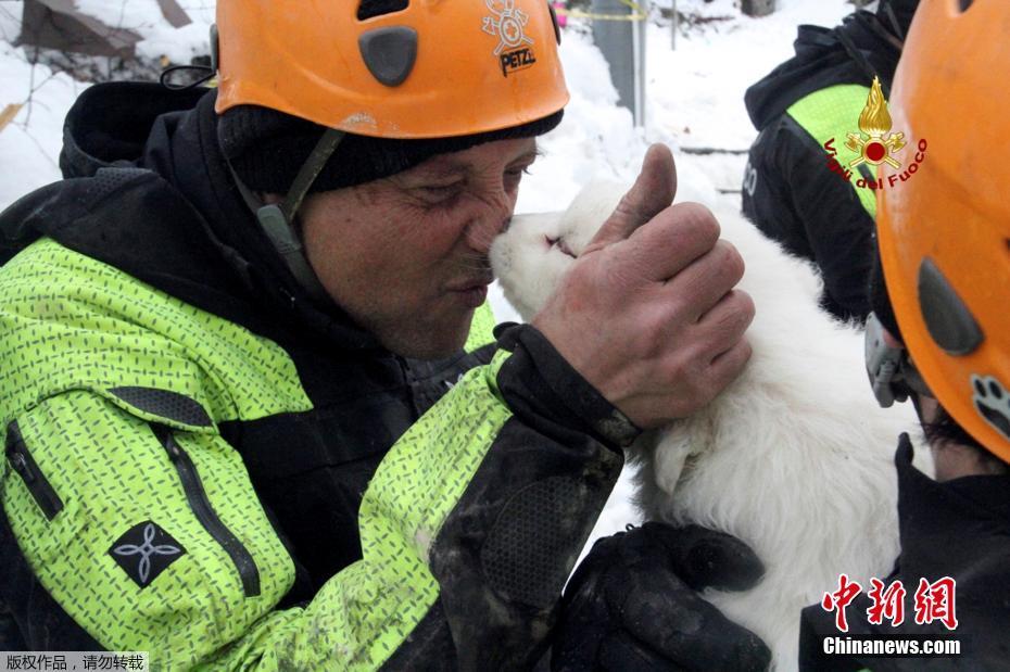 意大利遇雪崩酒店救出狗宝宝 救援人员喜出望外又抱又亲