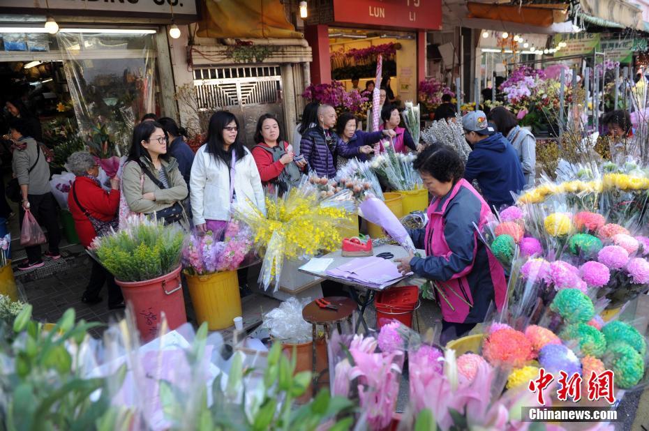 春节将至 香港花墟市批发市场化身花海