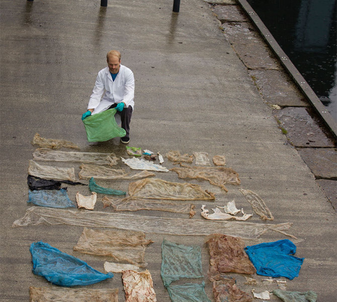 挪威一鲸鱼搁浅被实施安乐死 腹中被取出30个塑料袋