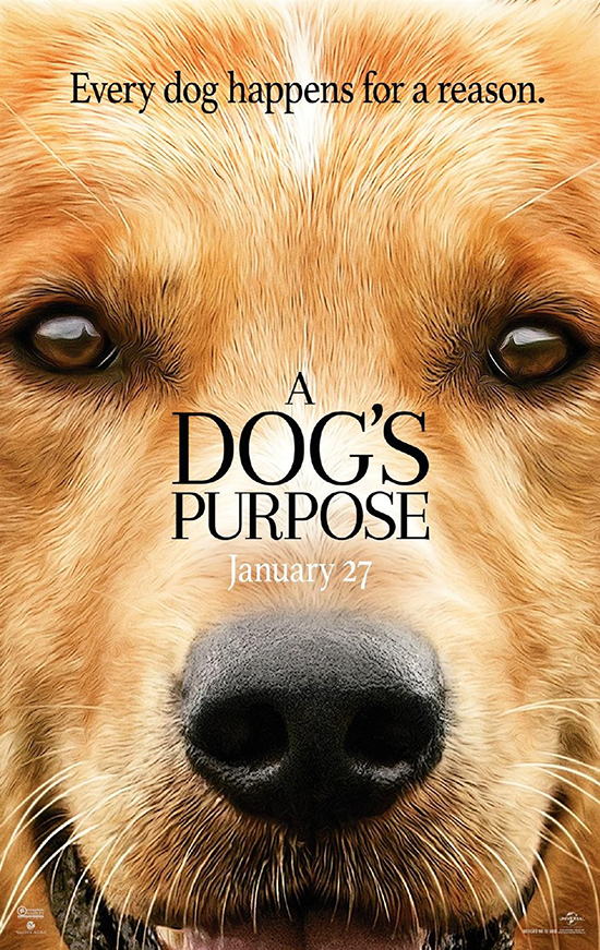 《一条狗的使命》什么时候上映 《一条狗的使命》剧情解析