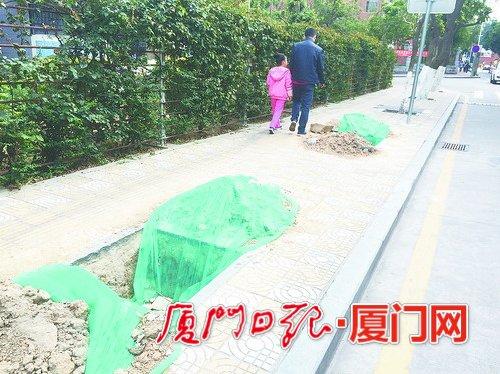 厦门鼓楼路一树坑“蒙住脸” 路人“怕被坑”
